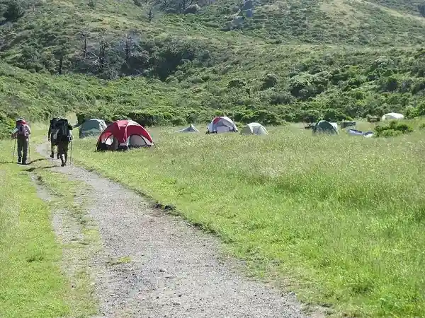 Camping in Summer at Point Reyes