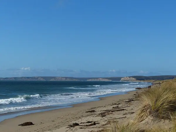 Drakes Bay view